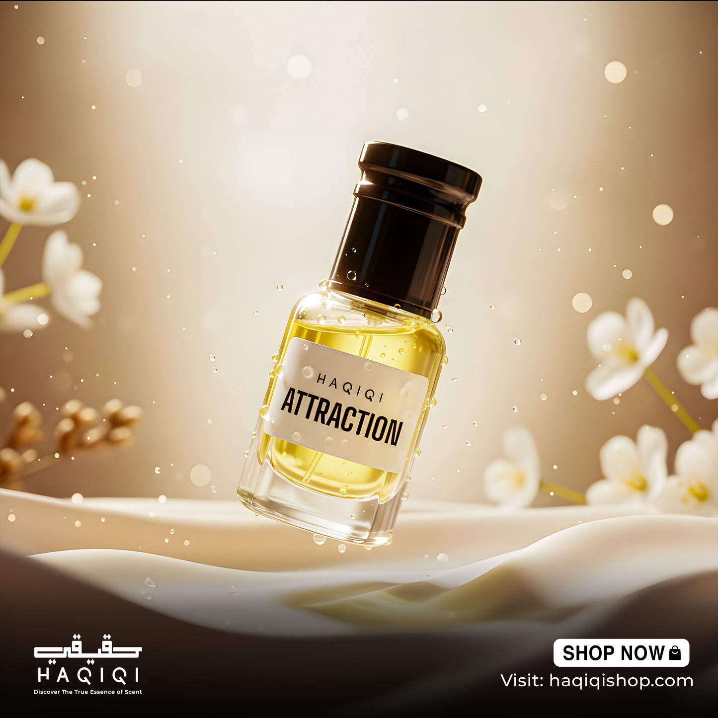 Attraction - এট্রাকশন