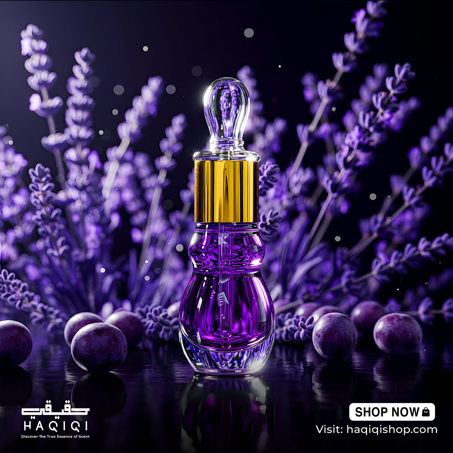 Fantasy - ফ্যান্টাসি