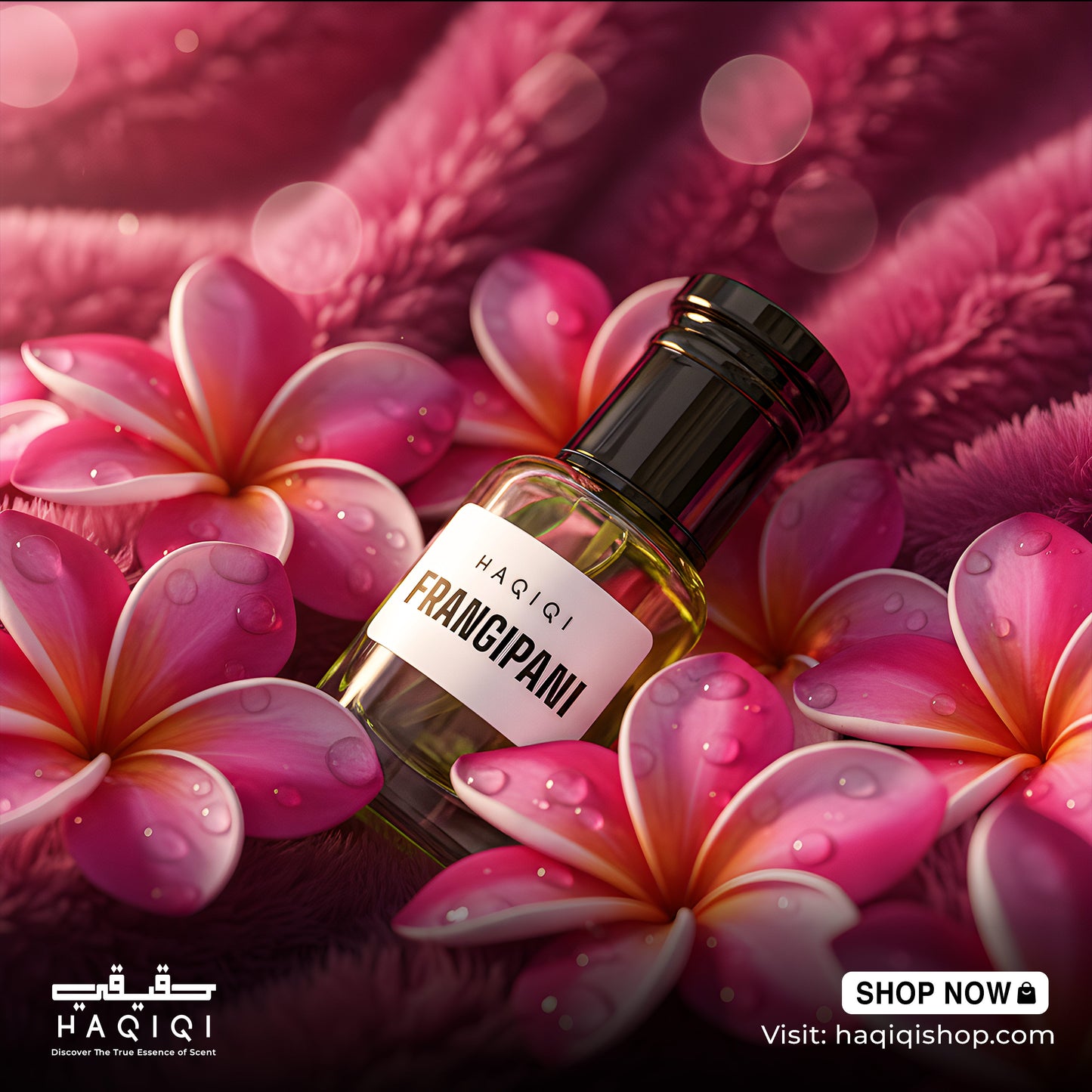 Frangipani - কাঠগোলাপ